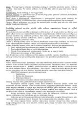 Socialinių mokslų didaktika 6 puslapis