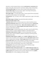 Socialinių paslaugų samprata. Bendrosios ir specialiosios socialinės paslaugos 5 puslapis