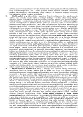 Statybinės medžiagos ir jų klasifikavimas 7 puslapis