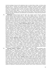 Statybinės medžiagos ir jų klasifikavimas 10 puslapis