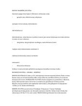 Egėjo civilizacija. Graikų – Persų karai. Makedonija