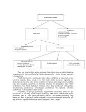 Statistika ir statistikos dalys 8 puslapis