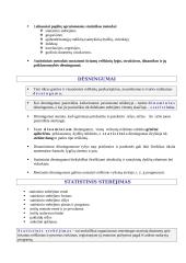 Statistika ir statistikos raida  4 puslapis