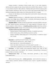 Šiuolaikiniai kompiuteriai ir jų techninė įranga 2 puslapis