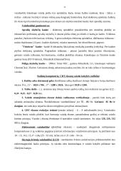 Šiuolaikiniai kompiuteriai ir jų techninė įranga 11 puslapis