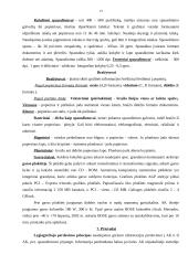 Šiuolaikiniai kompiuteriai ir jų techninė įranga 13 puslapis