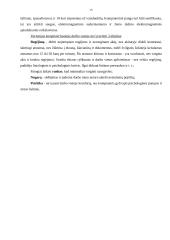 Šiuolaikiniai kompiuteriai ir jų techninė įranga 15 puslapis