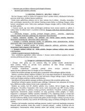 Technologija ir žmogus 2 puslapis