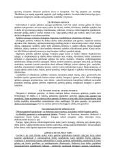 Technologija ir žmogus 4 puslapis