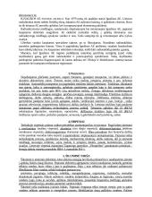 Technologija ir žmogus 5 puslapis