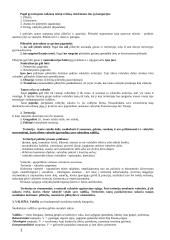 Valstybės valdymo teisė 2 puslapis