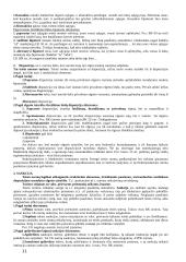 Valstybės valdymo teisė 12 puslapis