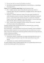 Teoriniai socialinio darbo modeliai 10 puslapis