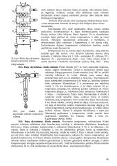 Termodinamika varikliuose 16 puslapis