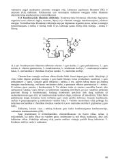 Termodinamika varikliuose 18 puslapis