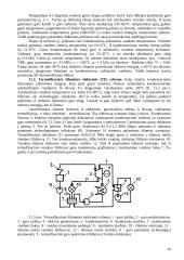 Termodinamika varikliuose 20 puslapis