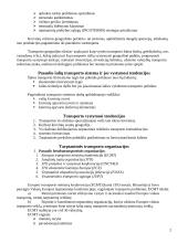 Transporto geografija 2 puslapis