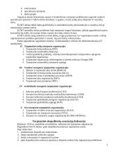 Transporto geografija 3 puslapis