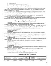 Transporto geografija 4 puslapis