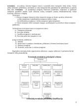 Transporto geografija 8 puslapis