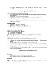 Pagrindiniai ugdymo filosofijos klausimai 4 puslapis