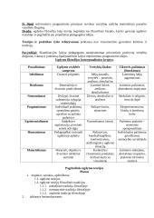 Pagrindiniai ugdymo filosofijos klausimai 5 puslapis