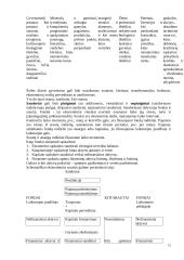 Oficiali ūkio statistika  15 puslapis