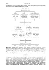 Uolienos ir gaminiai iš jų 2 puslapis
