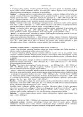 Uolienos ir gaminiai iš jų 4 puslapis