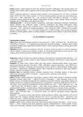 Uolienos ir gaminiai iš jų 5 puslapis