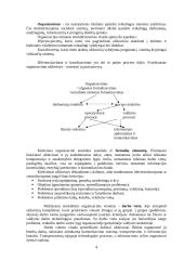 Vadybos kontrolinis darbas 4 puslapis