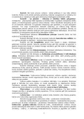 Vadybos kontrolinis darbas 5 puslapis