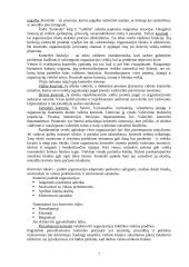 Vadybos kontrolinis darbas 7 puslapis