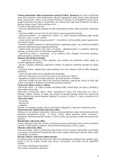 Vadovas ir jo funkcijos 2 puslapis