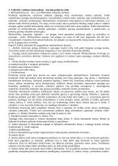 Valstybinis ekonominis reguliavimas 3 puslapis