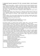 Valstybinis ekonominis reguliavimas 8 puslapis