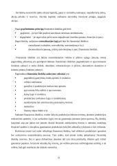 Verslo finansai: sistema, procesai ir elementai 12 puslapis