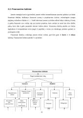 Verslo finansai: sistema, procesai ir elementai 13 puslapis