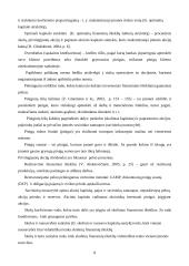 Verslo finansai: sistema, procesai ir elementai 7 puslapis