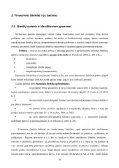 Verslo finansai: sistema, procesai ir elementai 9 puslapis