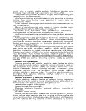 Verslo finansavimo galimybės 3 puslapis