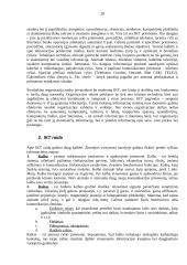 Verslo informatika 20 puslapis