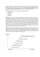 Verslo informatika 5 puslapis