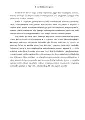 Verslo pagrindų paskaitų medžiaga 2 puslapis