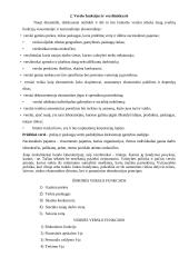 Verslo pagrindų paskaitų medžiaga 3 puslapis