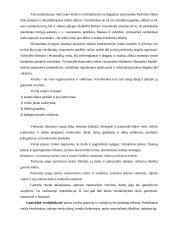 Verslo pagrindų paskaitų medžiaga 4 puslapis