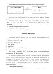 Verslo pagrindų paskaitų medžiaga 6 puslapis