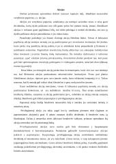 Verslo pagrindų paskaitų medžiaga 10 puslapis