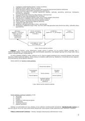 Verslo studijų įvadas 2 puslapis