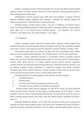 Vertybinių popierių rinkos sudėtis, vertė ir nauda 15 puslapis